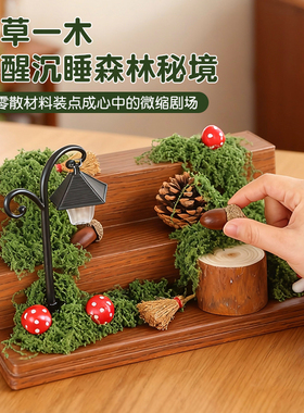 【小野DIY造景】阶梯展示盒