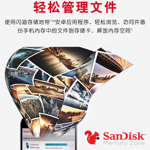 闪迪手机专用switch存储卡NS卡监控内存卡tf行车记录仪micro sd卡 - 图2