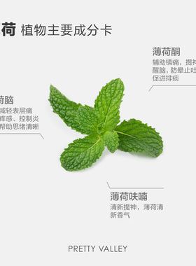 汇美舍胡椒薄荷精油单方精油提神