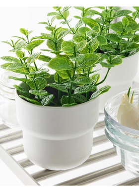 宜家菲卡人造盆栽植物