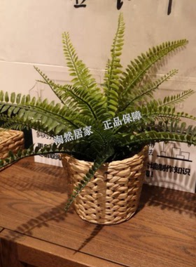 IKEA/宜家装饰用花盆水葫芦