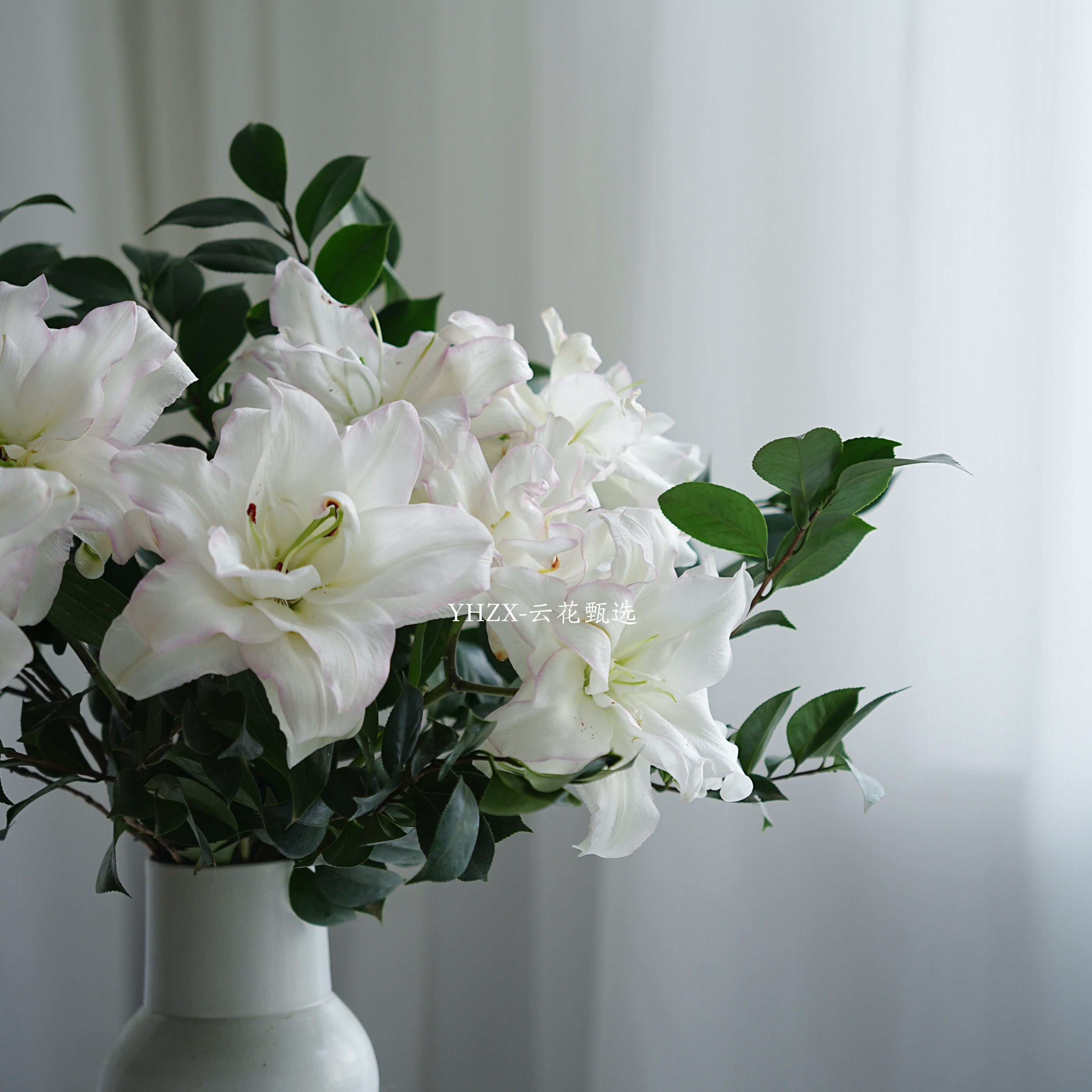 【云花甄选】山茶叶重瓣百合鲜花家庭装饰有香味水养情人节礼物