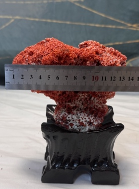 精品红色珊瑚摆件海洋生物装饰品收藏工艺品赠送底座