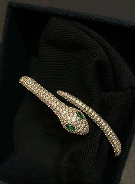 S925异域灵蛇手镯开口蛇形手环个性轻奢百搭饰品小众礼物送女友