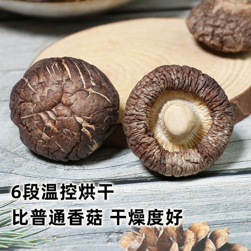 西峡香菇干货2500g散装黄焖鸡米饭用干冬厚菇营养菌菇 5斤散装 - 图2