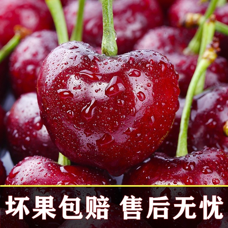 4j智利车厘子5斤新鲜水果应季孕妇整箱进口特大果樱桃礼盒顺丰5j,淘宝优惠券,粉丝福利购,淘宝优惠卷