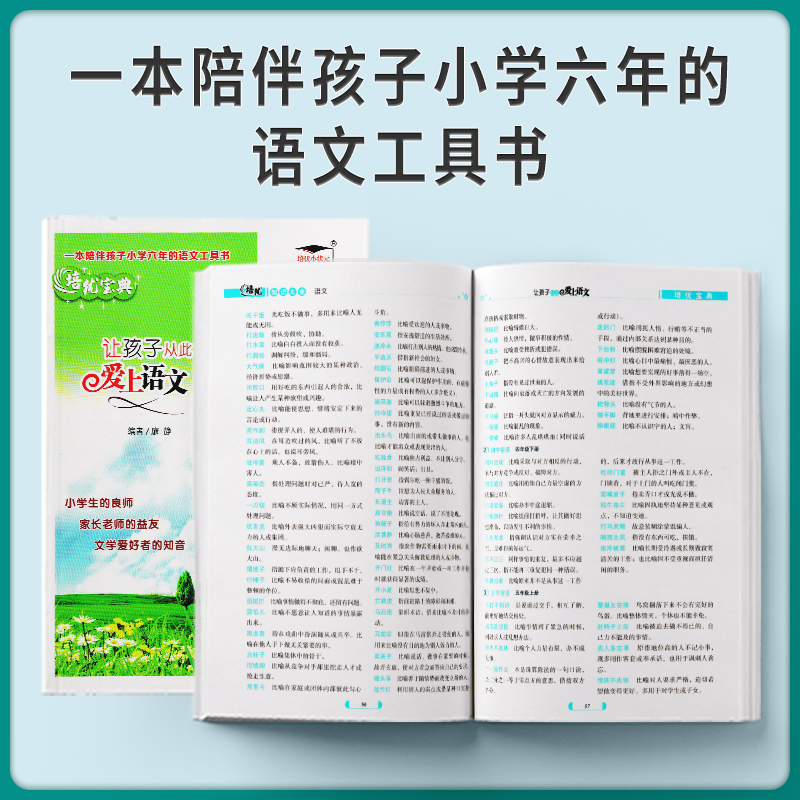 培优宝典让孩子从此爱上语文知识大全语文全国通用升级版吉林摄影出版社小学语文知识大全小升初复习资料语文基础知识总复习-图1