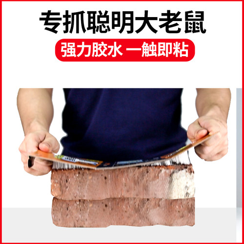 粘鼠板强力胶粘贴纸大老鼠贴夹子笼灭沾捕鼠器家用除捉抓老鼠正品 - 图0