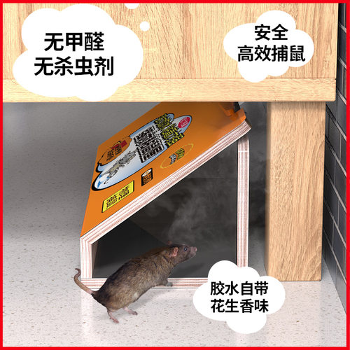 粘鼠板强力胶粘贴纸大老鼠贴夹子笼灭沾捕鼠器家用除捉抓老鼠正品 - 图3