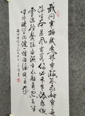 书法定制手写真迹人生感悟我问寒梅几度开寒梅答我耐寒来浮生本…