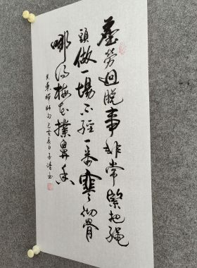 书法字画定制手写真迹尘劳迥脱事非常紧把绳头做一场不经一番…