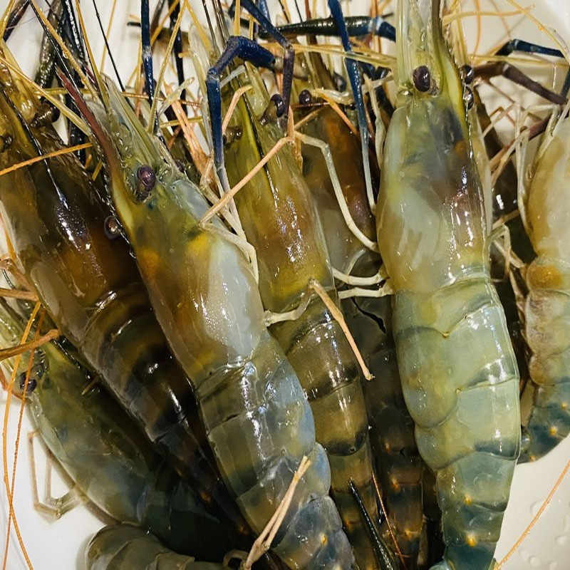 500g北京闪送 鲜活 罗氏虾 大头虾 金钱虾 沼虾 活虾 淡水虾 海鲜,淘宝优惠券,粉丝福利购,淘宝优惠卷