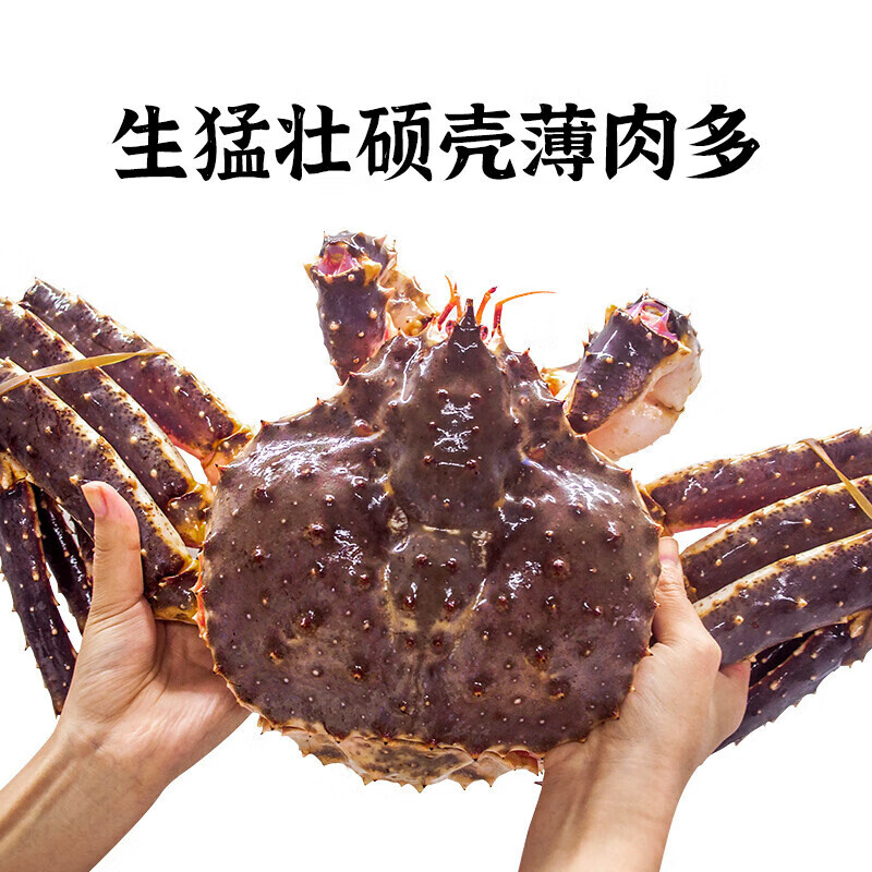 北京闪送4-8斤1只俄罗斯进口鲜活帝王蟹大螃蟹皇帝蟹海鲜水产 - 图0