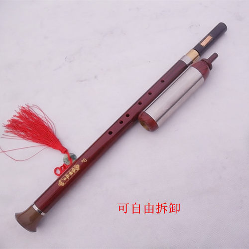 促销云南吹奏乐器仿檀木树脂g调f调A调 初学练习教学横吹竖吹巴乌 - 图0