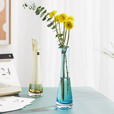 北欧ins风家居玻璃花瓶摆件客厅茶几餐桌细长小口径插花器装饰品 虎窝淘