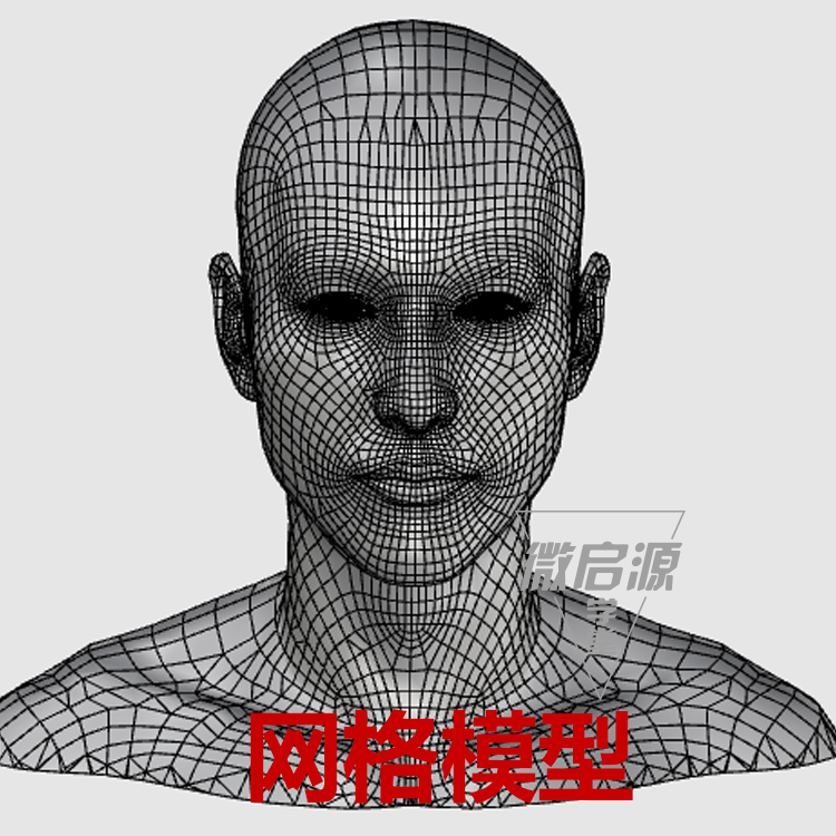 人头像肖像眼睛耳朵鼻子犀牛3D三维模型rhino/OBJ/3DS建模素材-图1