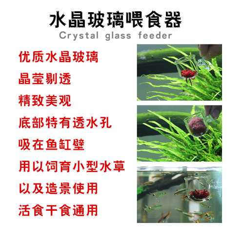 玻璃红虫喂食器鱼缸投食圈冻丰年虾赤虫投喂鱼漂浮杯小型神器透明 - 图1