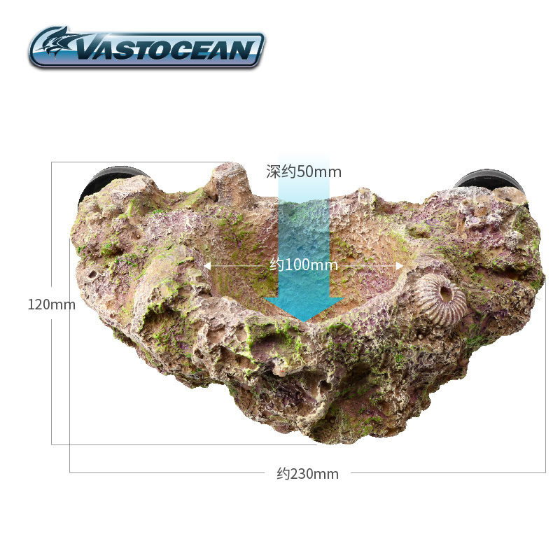 VASTOCEAN树脂悬浮海葵巢磁吸奶嘴海葵窝地毯窝海水鱼缸造景石,淘宝优惠券,粉丝福利购,淘宝优惠卷