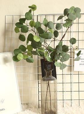 绿色植物背景墙装饰树枝叶子