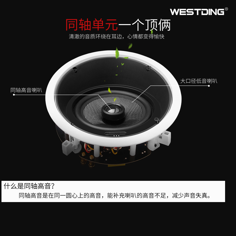寸低音炮 10 家庭影院音响套装家用客厅吊顶音箱天花吊顶定阻同轴喇叭蓝牙功放机 5.1 吸顶式 909 威斯汀 WESTDING 寸低音炮 10 家庭影院音响套装家用客厅吊顶音箱天花吊顶定阻同轴喇叭蓝牙功放机 5.1 吸顶式 909 威斯汀 WESTDING