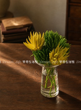 高颜值佛手柑器皿透明玻璃花瓶