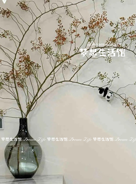 山归来专用花瓶水培大肚高级感玻璃透明水养鲜花插花客厅摆件花器