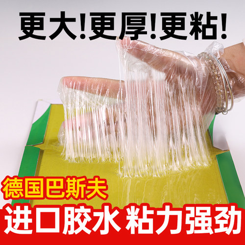 超强力粘鼠板捉粘大老鼠贴沾胶抓灭鼠老鼠贴超强杀鼠家用捕鼠神器 - 图0