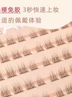 艾唯拉妮巴斯夫送试用装