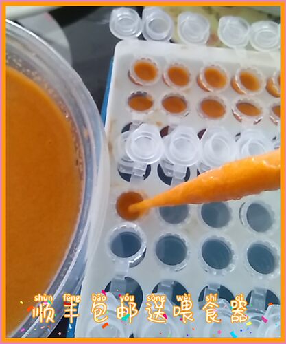 川渝贵阳优惠丰年虾幼虫孔雀鱼斗鱼苗开口迷你鹦鹉虾虎水母鱼食饲 - 图1