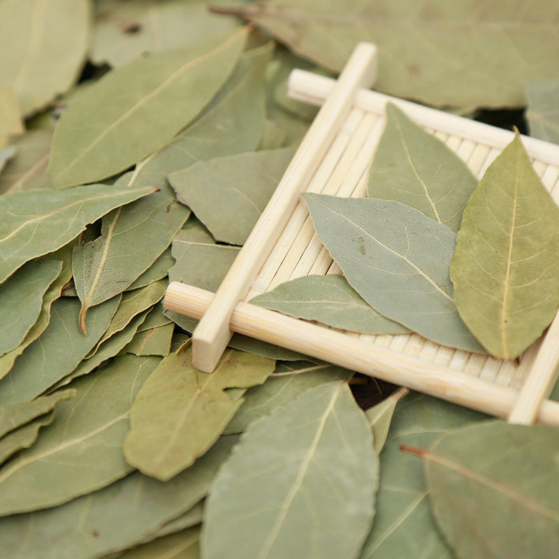 月桂树叶 新人首单立减十元 21年8月 淘宝海外