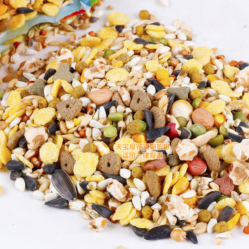 jolly crispy hamster