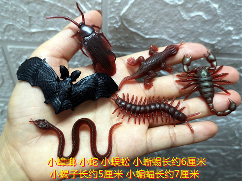 万圣节整蛊整人玩具假老鼠蝙蝠蟑螂蜘蛛蜈蚣苍蝇套装仿真虫子动物 - 图0