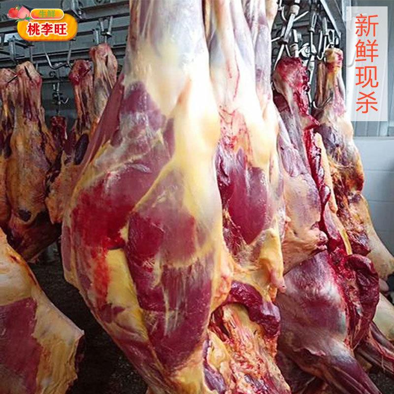 新鲜现杀马腿肉 不注水精品生马肉 特色美食 火锅烧烤 - 图0