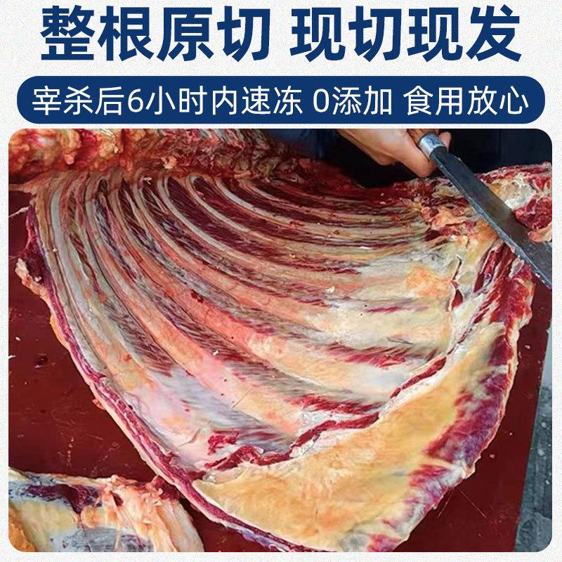 牛肋排原切内蒙古黄膘牛排骨牛肋条新鲜冷冻带肉牛仔骨生牛肉生鲜 - 图1