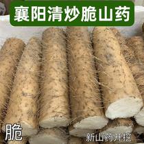 Xiangyang Qing Fried Crisp Yam Fresh Coarse Large Yam Vegetable Yam Fresh And Found With Non-Iron Stick Yam