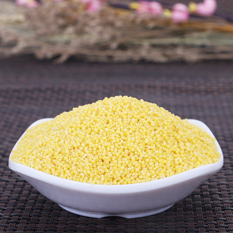 契丹粗粮毛毛谷内蒙古赤峰黄小米 契丹小米
