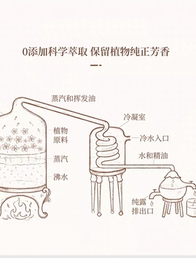 抗皱精油不老油3瓶*30ml纯植物