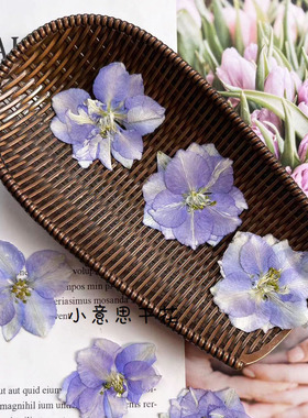 植物标本手机壳花材diy压花