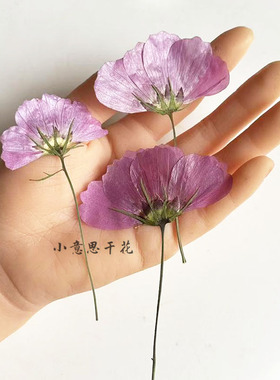 小意思干花标本滴胶饰品干花材料
