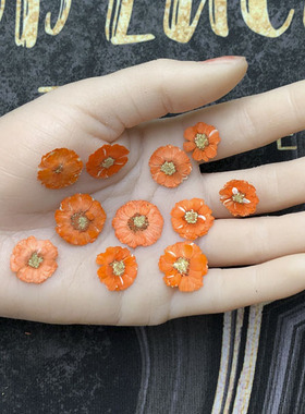 滴胶干花押花小雏菊小意思