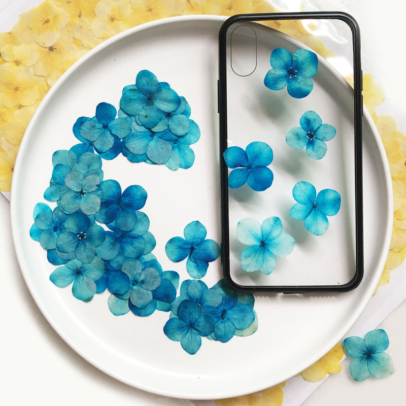 绣球 真花干花押花压花画幼儿手工贴脸妆植物标本 滴胶干花手机壳,淘宝优惠券,粉丝福利购,淘宝优惠卷