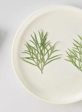 格桑花叶天然植物标本diy饰品