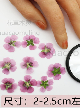 小意思标本干花滴胶饰品干花特惠
