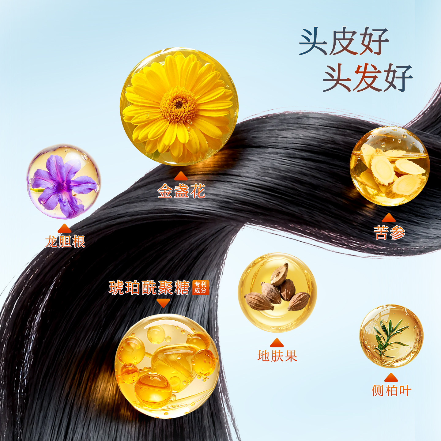 金盏花控油蓬松洗发水去屑止痒舒缓柔顺持久留香洗头膏露官方正品