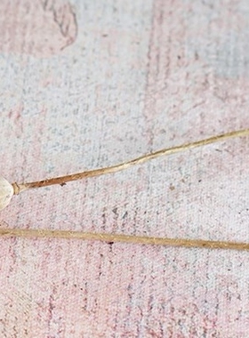 干花家居虞美人草黄金球树枝婚庆摄影拍摄道具diy手工插花礼盒