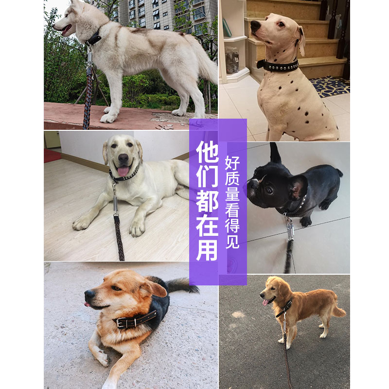 狗狗牵引绳牛皮中大型犬马犬拉布拉多金毛遛狗绳子狗链子项圈用品-图2