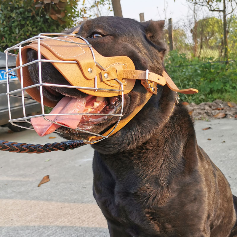 狗狗嘴套口罩防误食乱吃防咬人大型犬斯塔福卡斯罗比特杜高犬口笼 - 图1