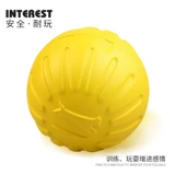 Игрушка для любимой собаки, немецкая собака Wrangler Golden Retine Ring Ring Draw Dog Trabilt Dog Trabilt во время собаки собаки плавающего мяча