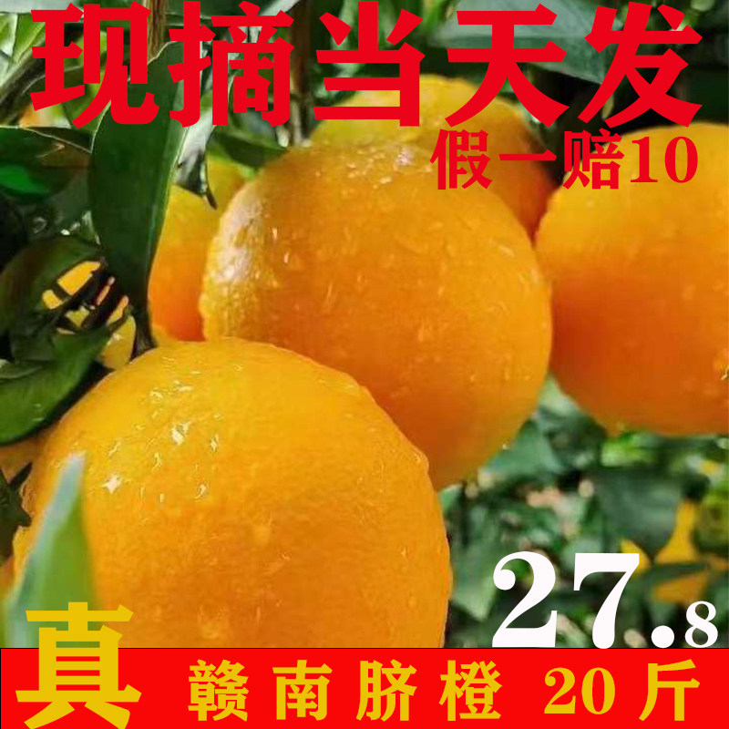 正宗江西赣南脐橙彩箱产地现摘直发精品大果新鲜水果橙子赣州寻乌,淘宝优惠券,粉丝福利购,淘宝优惠卷