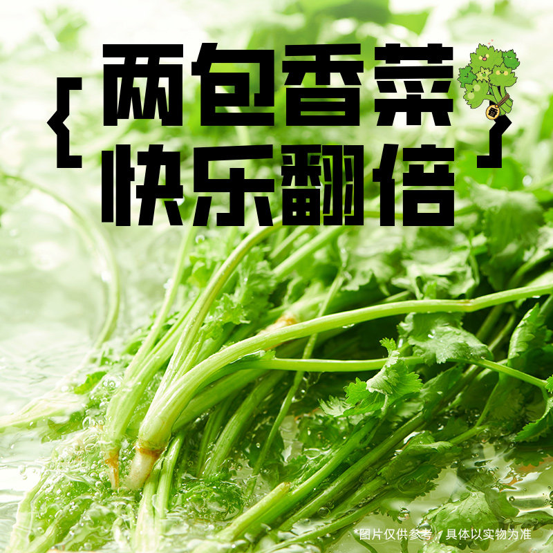 【王一博代言】白象香菜拌面方便面懒人泡面速食盒装整箱批发官旗